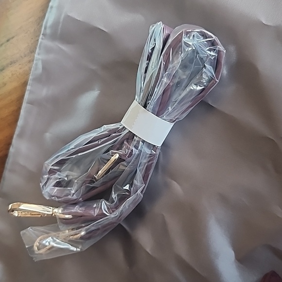 Badgley Mischka Plum Crossbody handbag Nwt - Picture 13 of 15